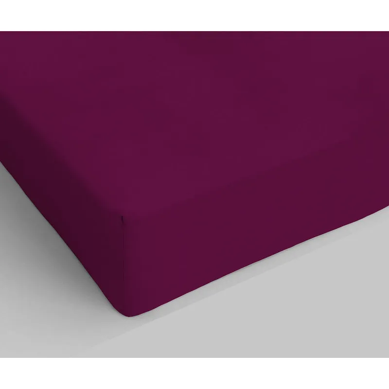 DATEX Linea Max Color lenzuola sotto con angoli, prugna MX007