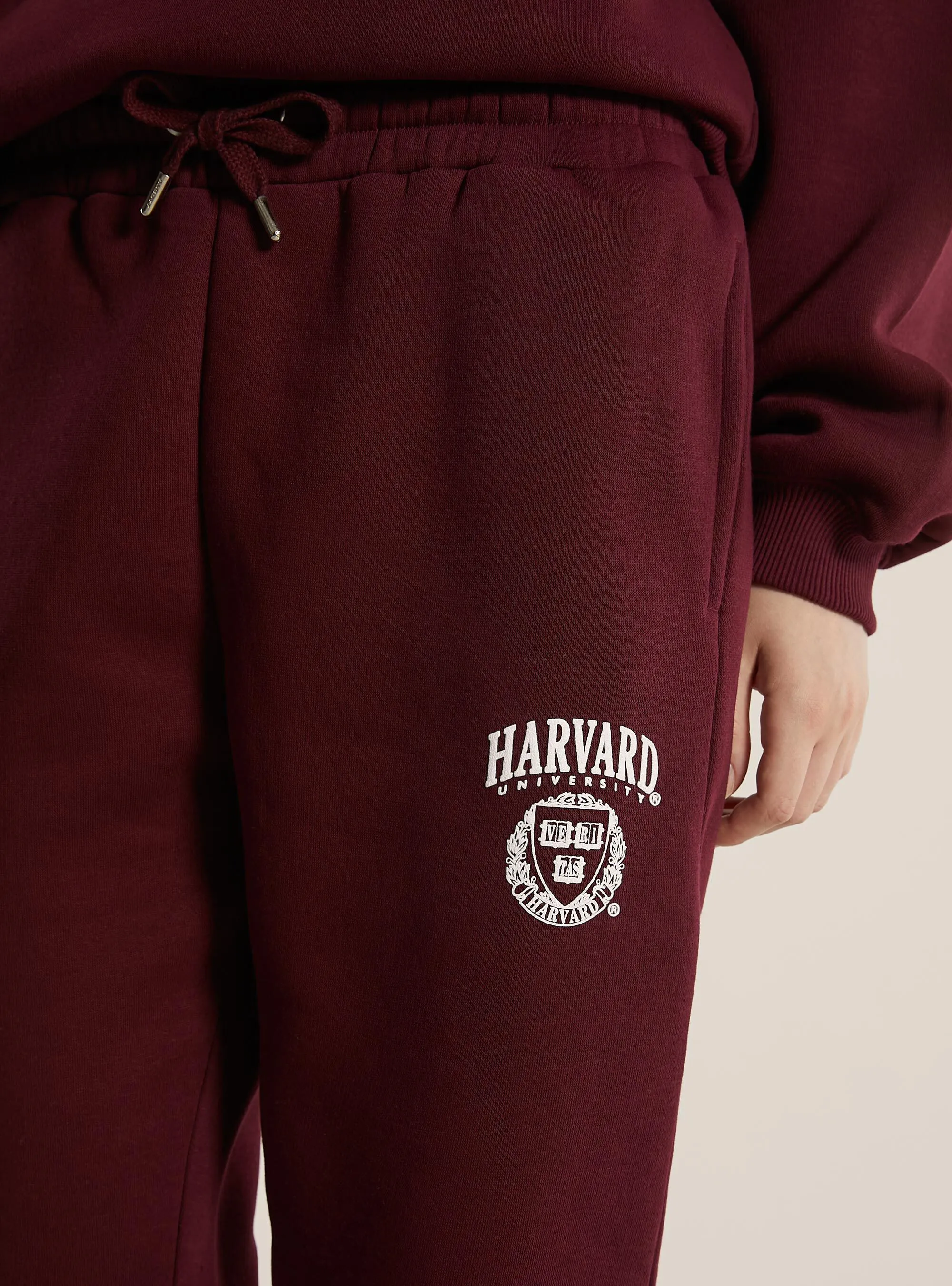 Jogger Harvard / Alcott