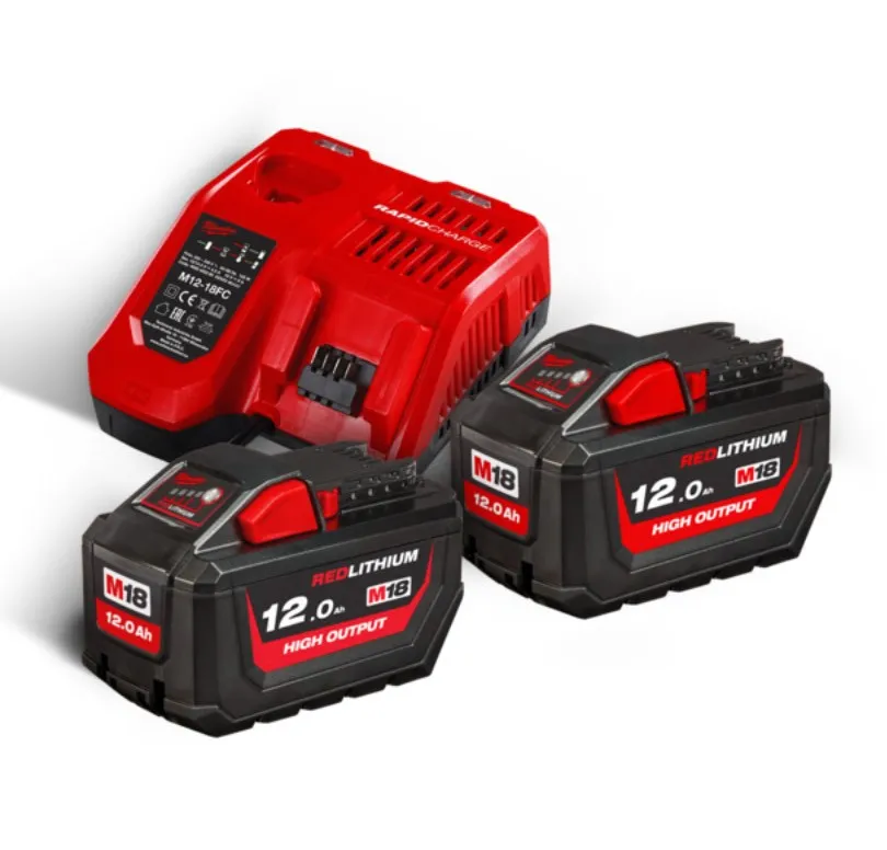 Milwaukee 4933464261 M18HNRG-122 N.2 BATTERIE 18V 12.0 Ah e caricabatterie KIT Energia IN2