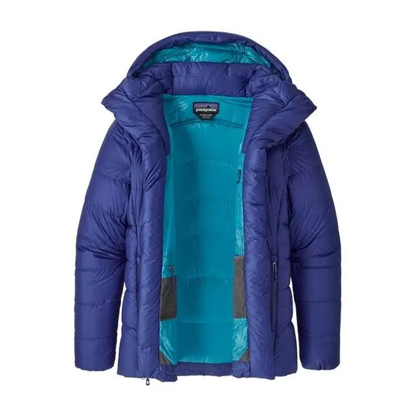 W's Fitz Roy Down Parka  Patagonia